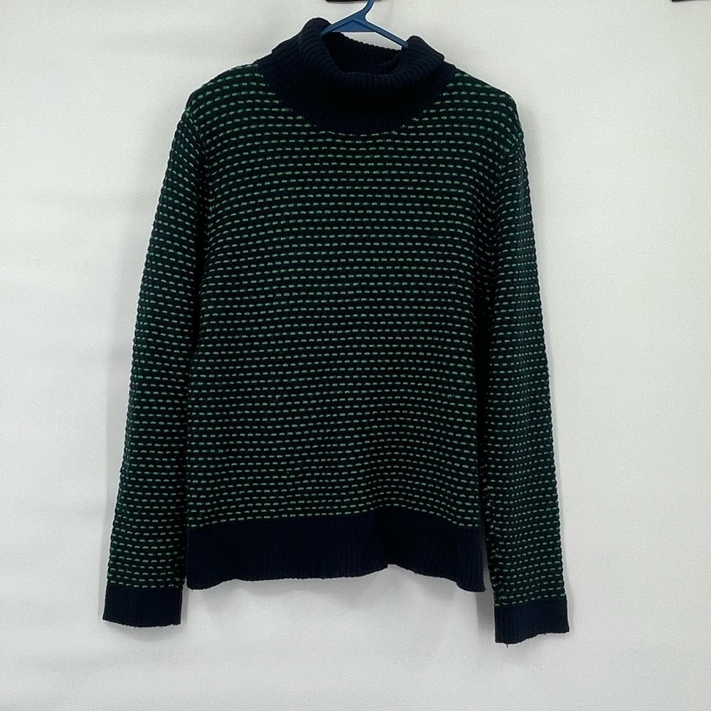 J crew factory blue green turtle neck chunky knit sweater